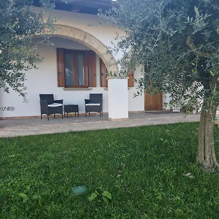 Πανσιόν Livenza